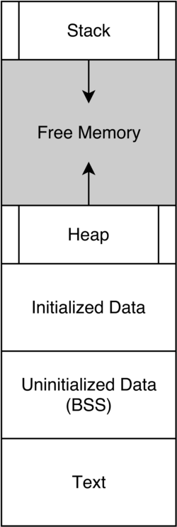 Data locations in RAM for a loaded and executing program. Text here refers to the machine code of your program, not human-readable text.